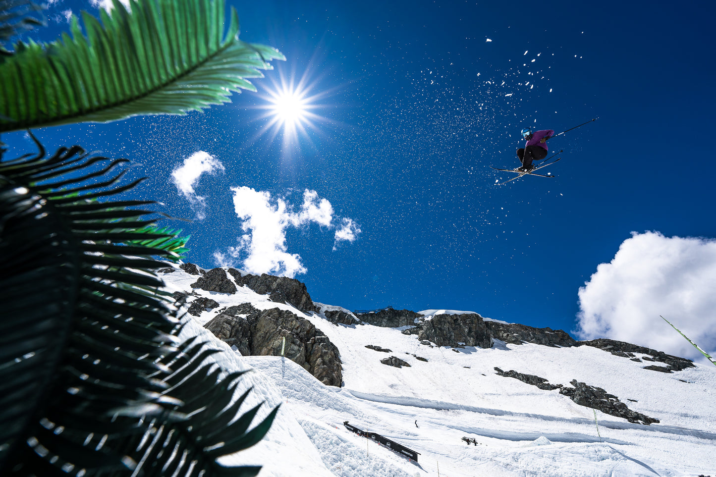 Roto Brush - Horsehair