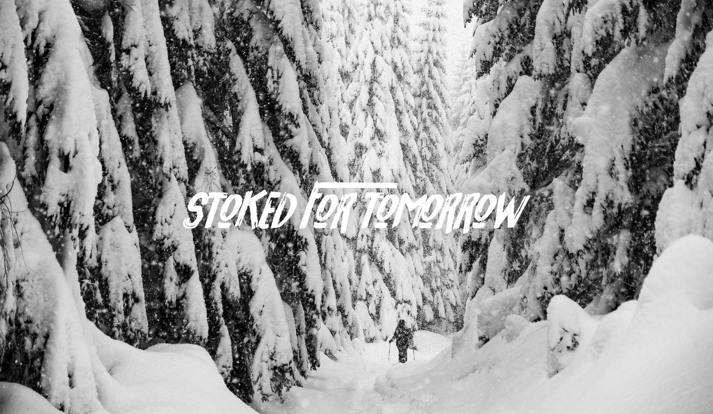 Baseline Starter Kit